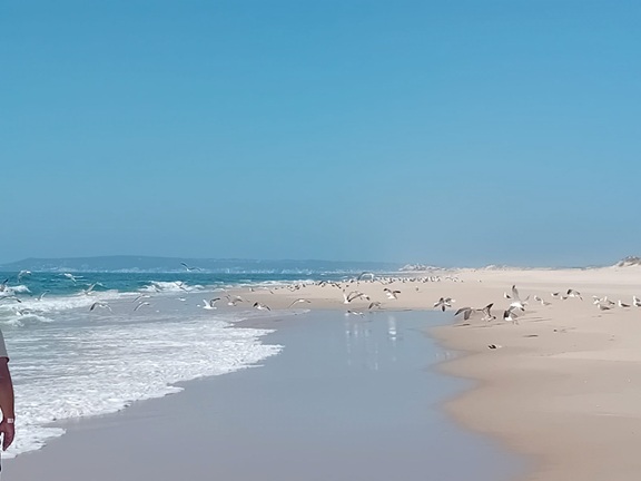 mar